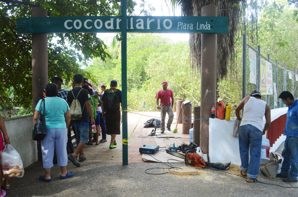 Rehabilitación cocodrilario (1)