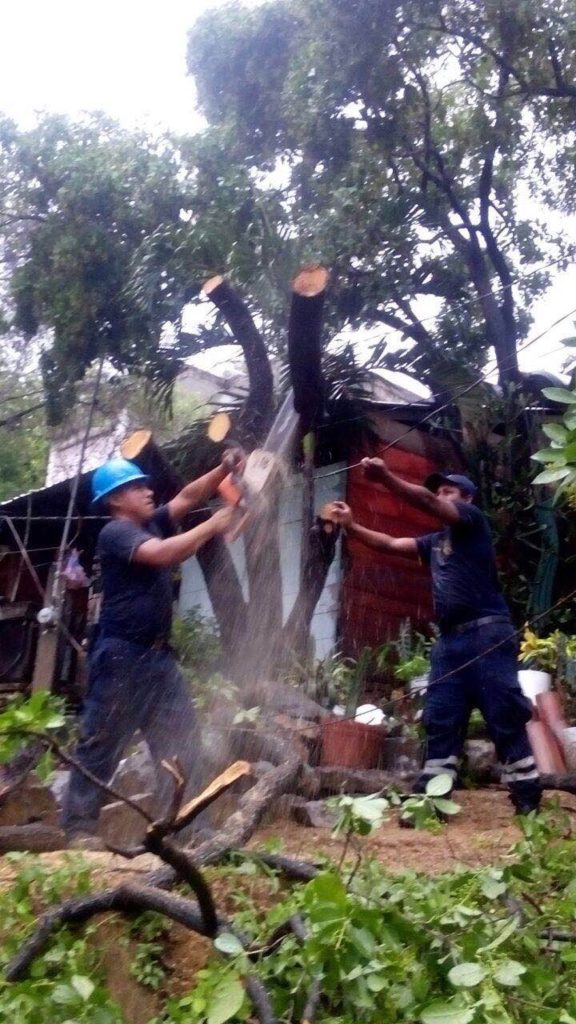 Protección Civil y Bomberos