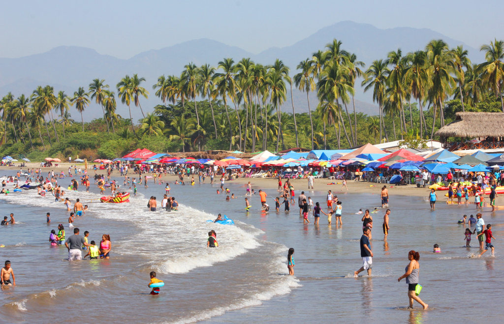 Mascotas en playa (1)