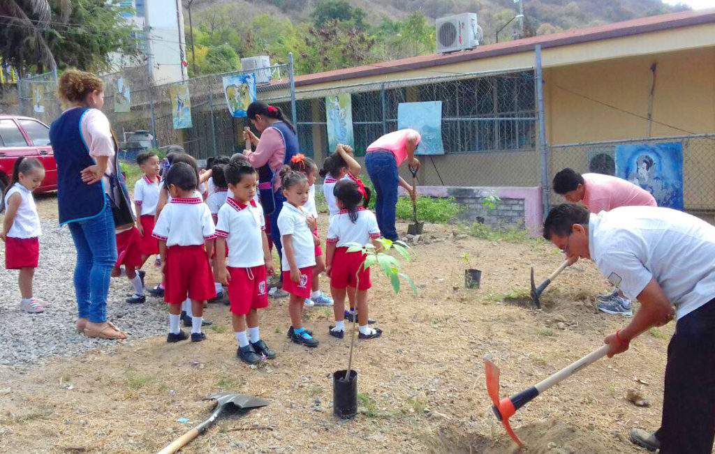 Reforestación en Kinder (1)