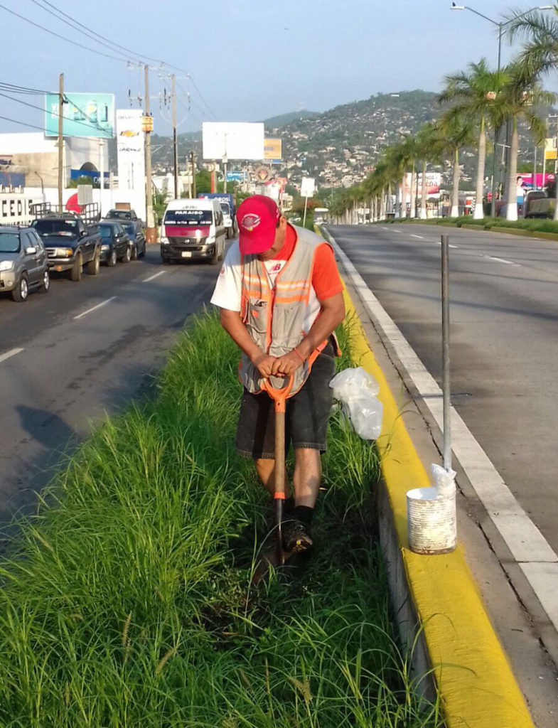 Reforestación bulevar (1)