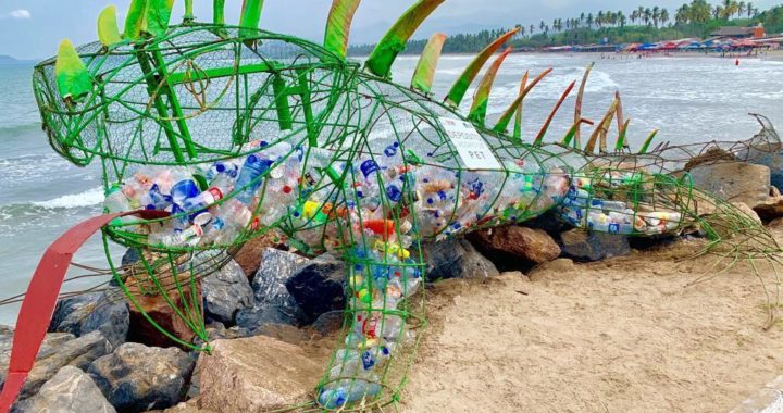 Ayuntamiento impulsa programa a favor de la Ecología y Medio Ambiente.