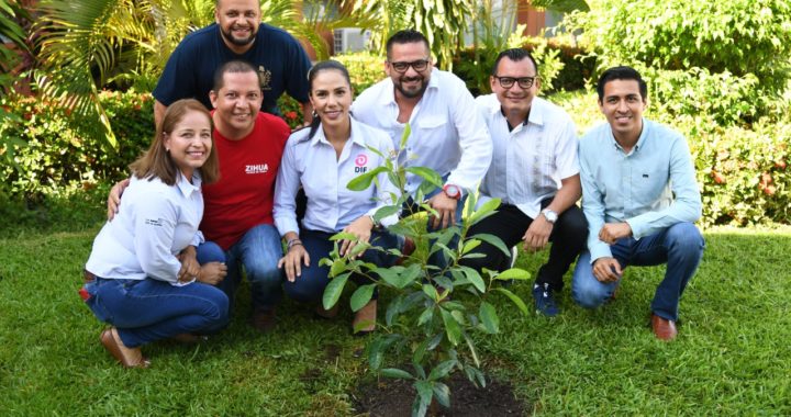 Gobierno de Jorge Sánchez Allec conmemora Día Mundial del Árbol