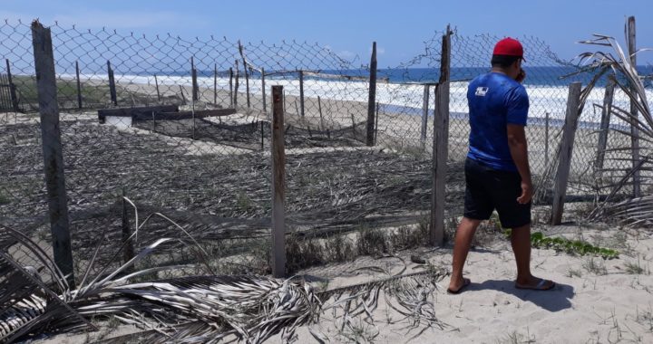 Urgen apoyos para la reactivación del campamento tortuguero de la playa El Carrizal de Cinta Larga, en Tecpan 