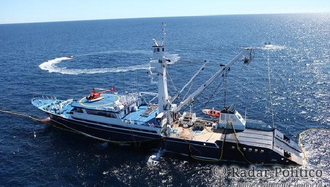 Pescadores piden frenar depredación de especies que realizan barcos camaroneros y atuneros en costas de Zihuatanejo