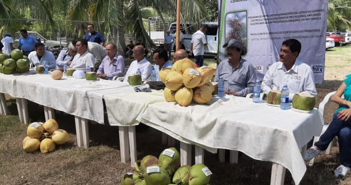 Realizan foro vivero de palmeras Navarrete y Asociados en Tenexpa con presencia de grandes personajes 