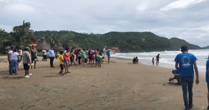 Impulsan taller informativo destinado a campamentos tortugeros del municipio de Tecpan de Galeana 