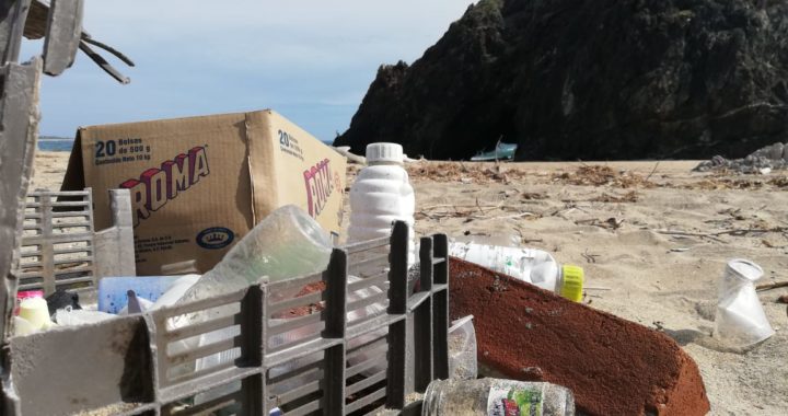 En el abandono campamento de la tortuga en Piedra de Tlacoyunque 