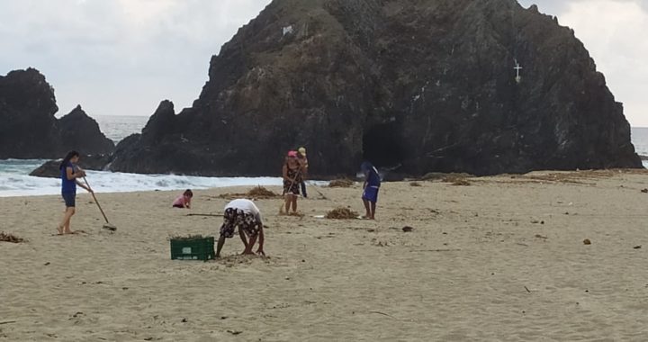 Avanzan los trabajos por la conservación de las tortugas en el campamento de Piedra de Tlacoyunque 