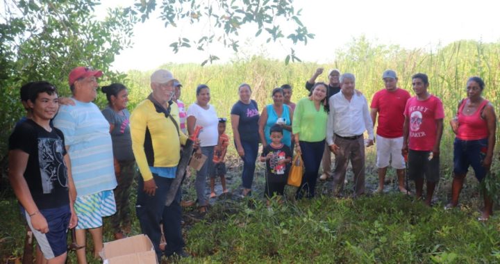 Arranca acciones en laguna de Rodesia para proteger los manglares 