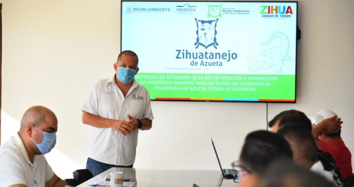 Gobierno de Zihuatanejo crea comité de protección a las ballenas