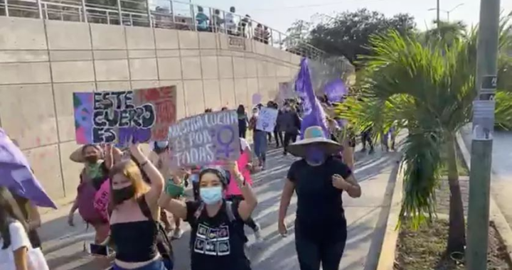 Marchan mujeres en Zihuatanejo; exigen renuncia de Felix Salgado a la candidatura