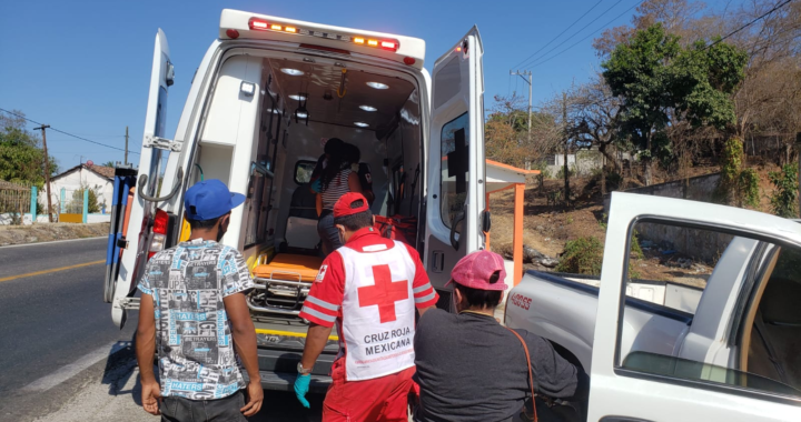 Se impacta en la moto contra manada de chivos y se lesiona