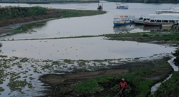 Se muere el Lago de Pátzcuaro y no hay planes para su rescate; puras promesas, denuncian