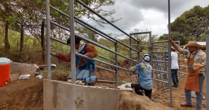 Gobierno de La Unión construye corral de manejo en Barranca de Marmolejo