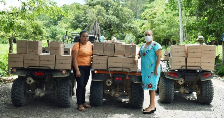 Reciben apoyos alimenticios familias damnificadas por tromba en la sierra de Tecpan