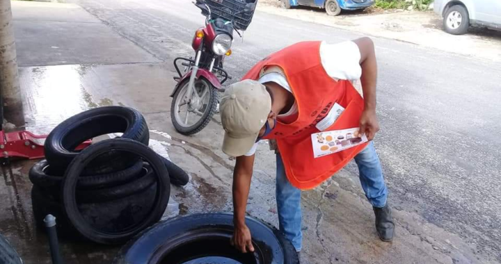 Comienza en Atoyac campaña para erradicar vectores