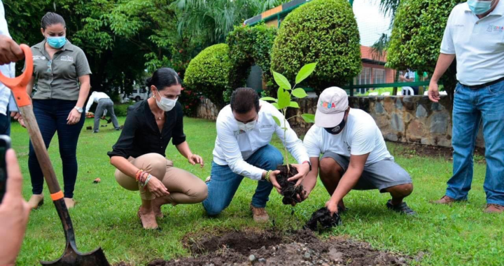 Gobierno de Zihuatanejo conmemora Día del Árbol con acciones de reforestación