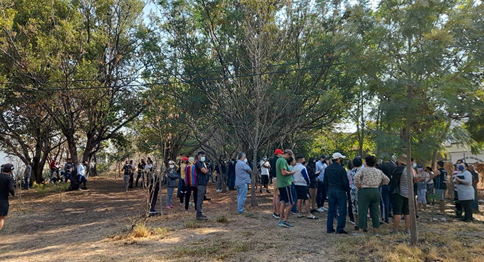 Empresa demanda a colonos por defender el pulmón Bosque Cosmos y estos preparan defensa