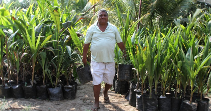 Fallece el coordinador del Cecoco en Costa Grande, Ethel Diego Galeana