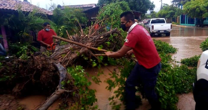 Casas inundadas y caída de árboles reportan en Atoyac por lluvias