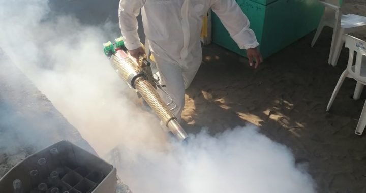 Organizan labores de fumigación en negocios de playa Puerto Vicente Guerrero