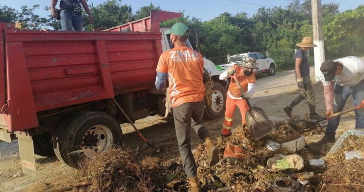 Gobierno de Jorge Sánchez Allec intensifica limpieza de panteones 