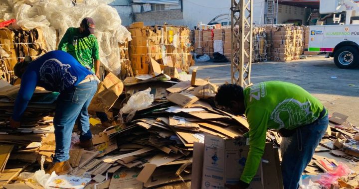 Zihuatanejo, municipio responsable con el acopio de Cartón, Vidrio y PET.