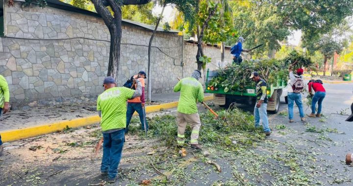 Servicios Públicos mantiene en óptimas condiciones las áreas verdes de la ciudad.