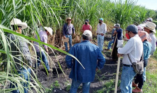 Servidores de la Nación sin facultad para manipular censo a beneficiarios del programa de Producción para el Bienestar en costa grande