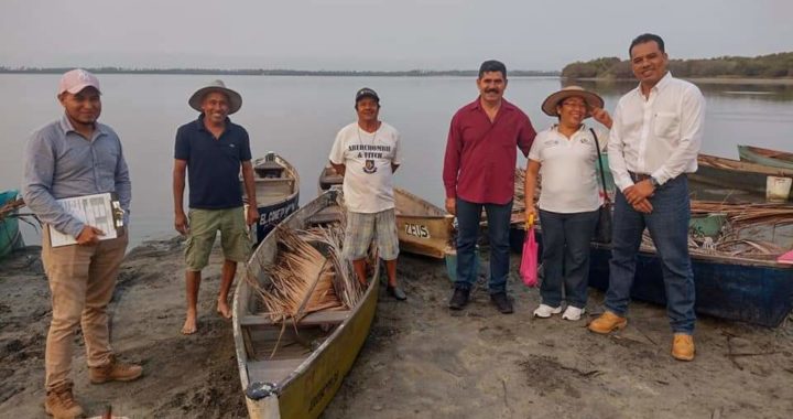 Estudian investigadores universitarios zonas de manglares en el municipio de Tecpan