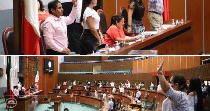 PROPONEN REFORMA A LA CONSTITUCIÓN POLÍTICA LOCAL PARA GARANTIZAR LOS SERVICIOS DE SALUD A MUJERES EMBARAZADAS   