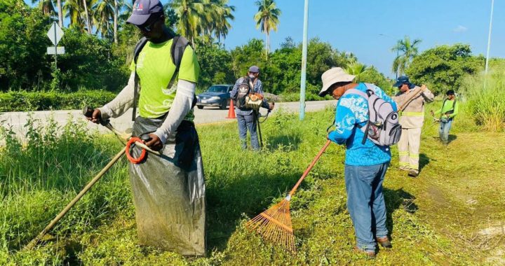 Servicios Públicos mantiene en óptimas condiciones las áreas verdes de Zihuatanejo