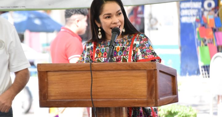 DESARROLLAN SEGUNDO FORO PREPARATORIO RUMBO A LA CONSULTA SOBRE EDUCACIÓN INCLUSIVA, EN AYUTLA