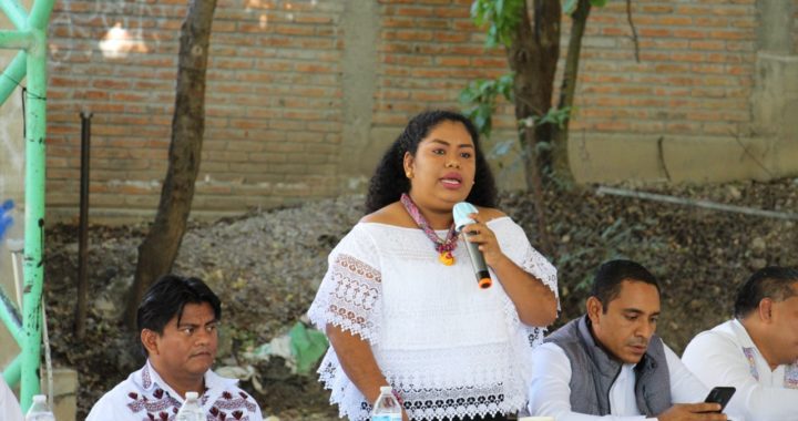 LLAMAN DESDE EL CONGRESO A PARTICIPAR EN LA INTEGRACIÓN DEL CATÁLOGO NACIONAL DE PUEBLOS Y COMUNIDADES INDÍGENAS Y AFROMEXICANAS