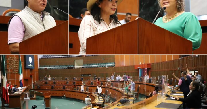 AJUSTE ANUAL EN TABLAS DE VALORES CATASTRALES DA CERTEZA JURÍDICA A LA CIUDADANÍA SOBRE SU PATRIMONIO: DIPUTADOS