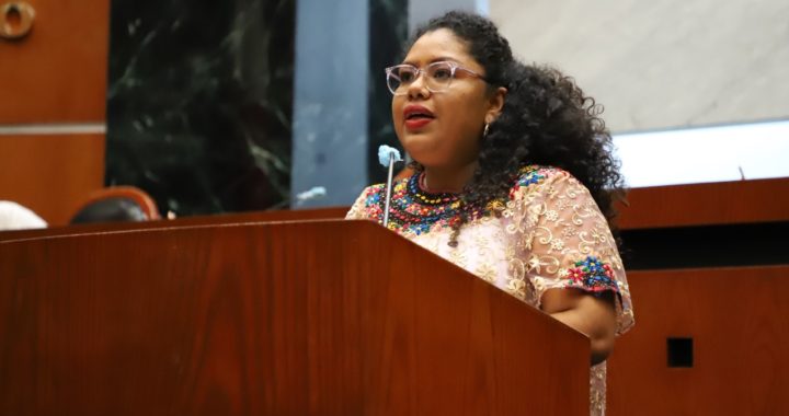 GRANDES AVANCES REGISTRA EL 2022 EN PRO DE LOS DERECHOS Y RECONOCIMIENTO DE LOS PUEBLOS INDÍGENAS Y AFROMEXICANO: MARBEN DE LA CRUZ