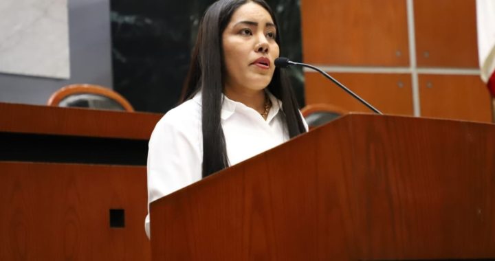 ANALIZAN EN EL CONGRESO UNA PROPUESTA PARA IMPLEMENTAR EL TRANSPORTE VIOLETA EN MÁS MUNICIPIOS DE GUERRERO