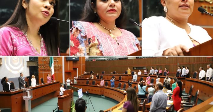 LLAMAN DESDE EL CONGRESO A NO BAJAR LA GUARDIA EN LA LUCHA CONTRA EL CÁNCER DE MAMA