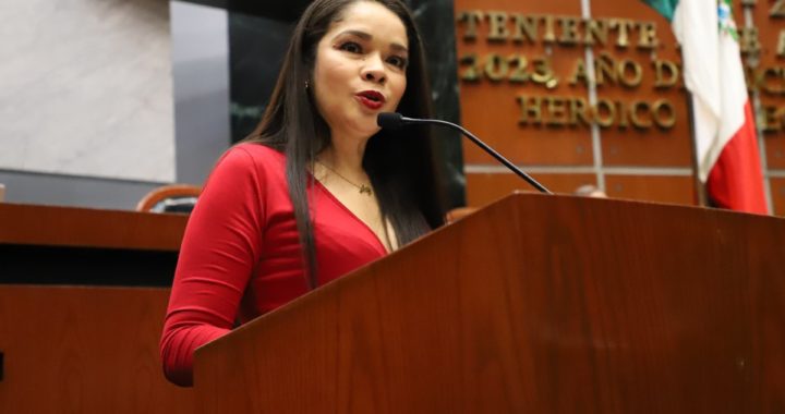 ANALIZAN EN EL CONGRESO LA NUEVA LEY DE PERSONAS JÓVENES DE GUERRERO