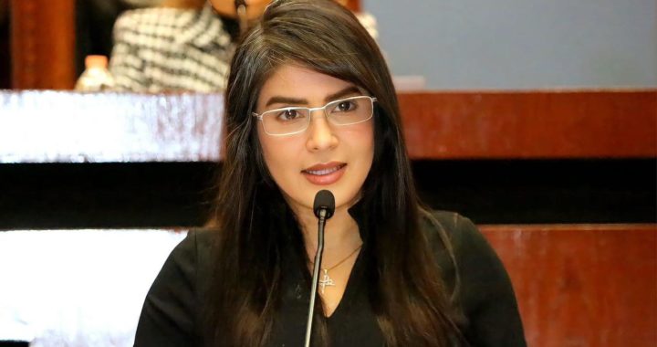 SATISFACTORIAS Y EXITOSAS LAS COMPARECENCIAS, CONSIDERA DIPUTADA YOLOCZIN DOMÍNGUEZ